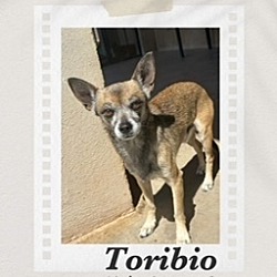 Photo of Toribio