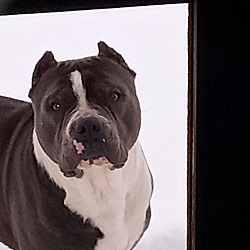 Photo of Li'l Man