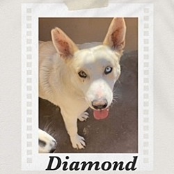 Thumbnail photo of Diamond #1