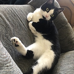 Photo of Baby