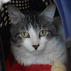 Photo of Jax