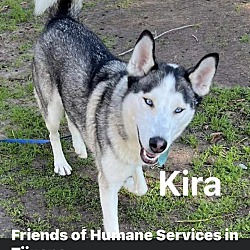 Thumbnail photo of Kira #2