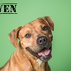 Thumbnail photo of OWEN #1