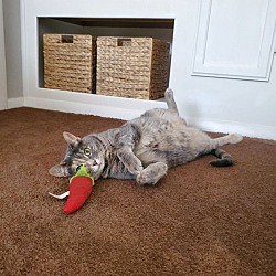 Photo of Dottie