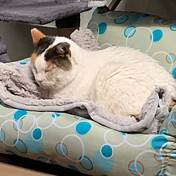 Photo of Princess