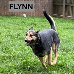 Photo of FLYNN