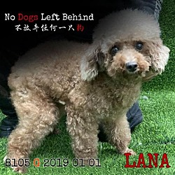 Photo of Lana 8105
