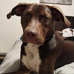Photo of Penny LG