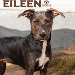 Photo of Eileen
