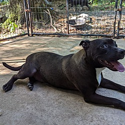 Photo of Nellie