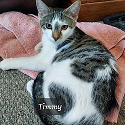 Photo of Timmy