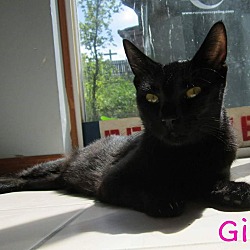 Thumbnail photo of GiGi #3