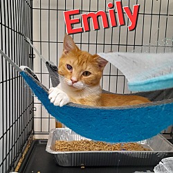 Photo of Emily