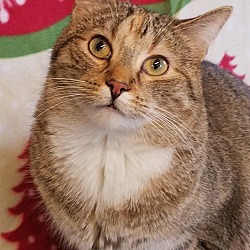 Photo of Josie