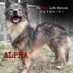 Photo of Alpha 6514