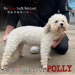 Photo of Polly 7826