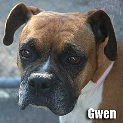 Thumbnail photo of Gwen #1