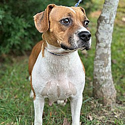 Photo of Quinn