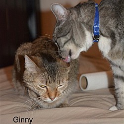 Thumbnail photo of Ginny #2