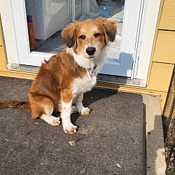 Photo of Lulu