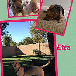 Thumbnail photo of Etta #1