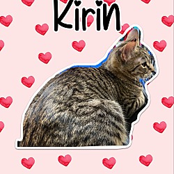Photo of Kirin