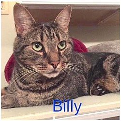 Thumbnail photo of BILLY #1