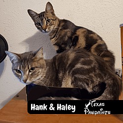 Photo of Hank & Haley