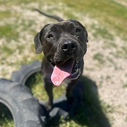 Photo of Winifred