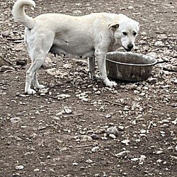 Photo of Ruby
