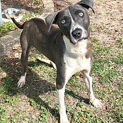 Photo of Barney