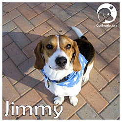 Thumbnail photo of Jimmy #1