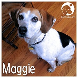 Thumbnail photo of Maggie #1