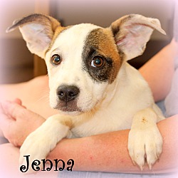 Thumbnail photo of Jenna~adopted! #2