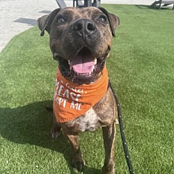 Photo of Bruce