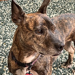 Photo of Mabel