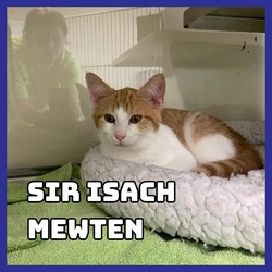 Thumbnail photo of Sir Isach Mewton #2