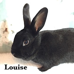Thumbnail photo of Louise #3