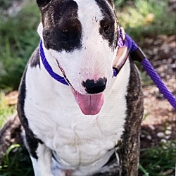 Photo of Argo