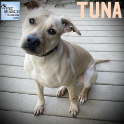 Thumbnail photo of TUNA #2