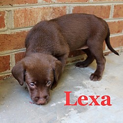 Photo of Lexa