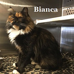 Photo of Bianca