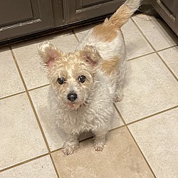 Photo of Bonnie