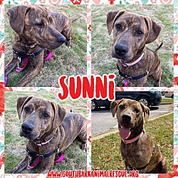 Thumbnail photo of Sunni` #3