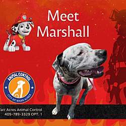 Thumbnail photo of Marshall #2