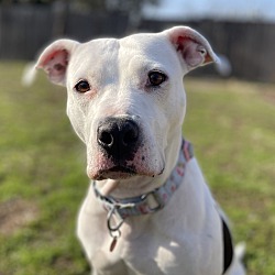 Photo of LIVI!!