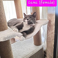 Photo of Lana