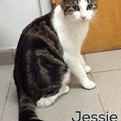 Thumbnail photo of Jessie #1