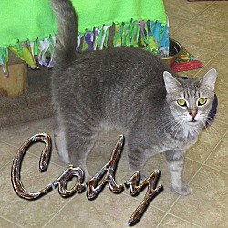 Thumbnail photo of Cody #1