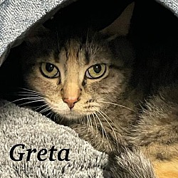 Thumbnail photo of Greta #2